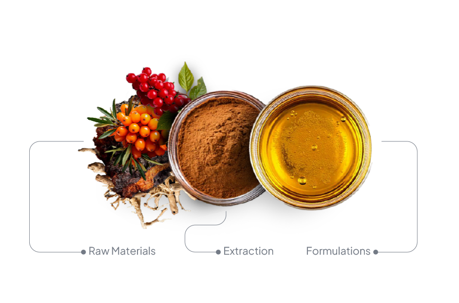 Functional herbal supplement ingredients used in adaptogen product concepts